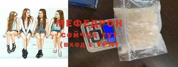 МДПВ Бородино