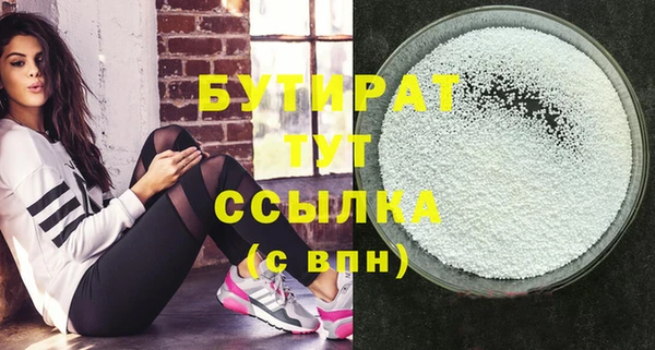 МДПВ Бородино