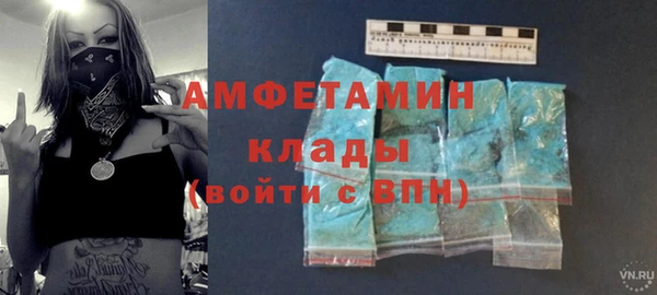 МДПВ Бородино