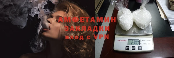 МДПВ Бородино