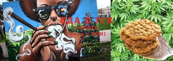 МДПВ Бородино