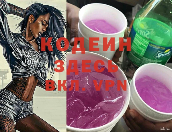 МДПВ Бородино