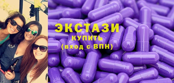 МДПВ Бородино