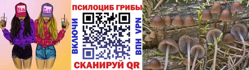 Галлюциногенные грибы Cubensis  Ахтырский 